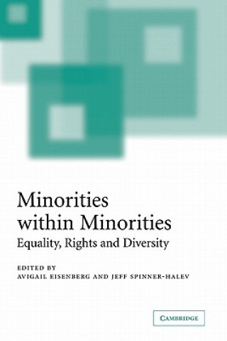 Könyv Minorities within Minorities Avigail EisenbergJeff Spinner-Halev