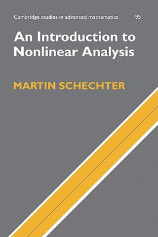 Könyv Introduction to Nonlinear Analysis Martin Schechter