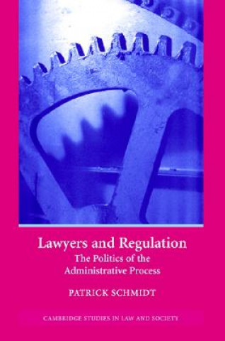 Könyv Lawyers and Regulation Patrick Schmidt