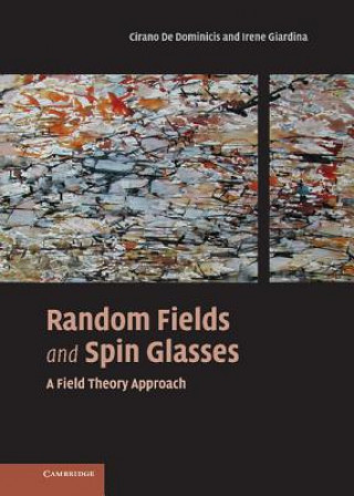 Carte Random Fields and Spin Glasses Cirano De DominicisIrene Giardina
