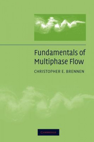 Könyv Fundamentals of Multiphase Flow Christopher E. Brennen