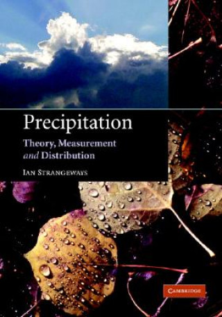 Книга Precipitation Ian Strangeways