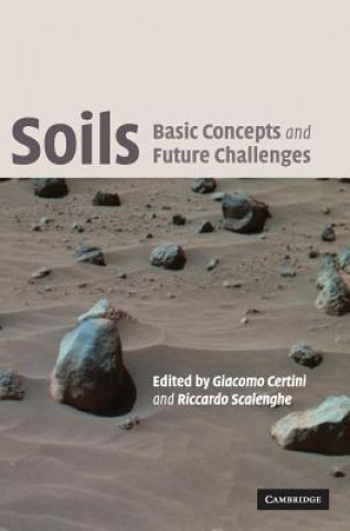 Buch Soils: Basic Concepts and Future Challenges Giacomo CertiniRiccardo Scalenghe