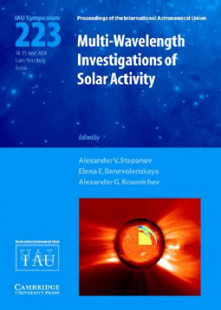 Könyv Multi-Wavelength Investigations of Solar Activity (IAU S223) Alexander V. StepanovElena E. BenevolenskayaAlexander G. Kosovichev