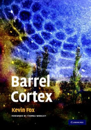 Kniha Barrel Cortex Kevin FoxThomas Woolsey