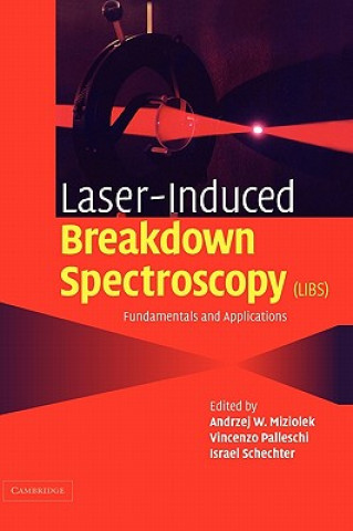 Buch Laser Induced Breakdown Spectroscopy Andrzej W. MiziolekVincenzo PalleschiIsrael Schechter