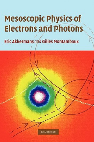 Livre Mesoscopic Physics of Electrons and Photons Akkermans