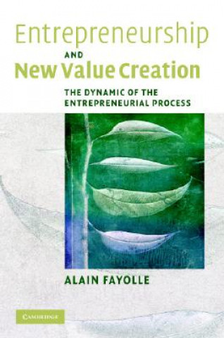 Könyv Entrepreneurship and New Value Creation Alain Fayolle