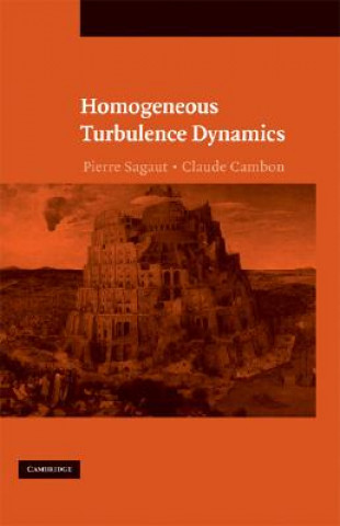 Könyv Homogeneous Turbulence Dynamics Pierre SagautClaude Cambon