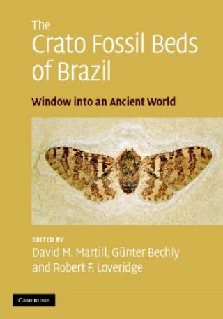 Carte Crato Fossil Beds of Brazil David M. MartillGünter BechlyRobert F. Loveridge