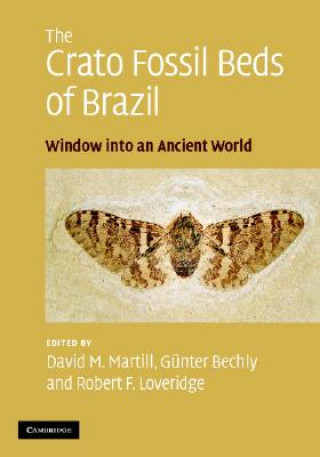 Buch Crato Fossil Beds of Brazil David M. MartillGünter BechlyRobert F. Loveridge