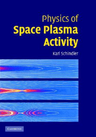 Carte Physics of Space Plasma Activity Karl Schindler