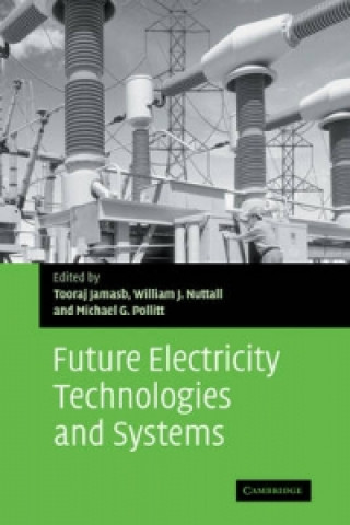 Knjiga Future Electricity Technologies and Systems Tooraj  JamasbWilliam J. NuttallMichael G. Pollitt