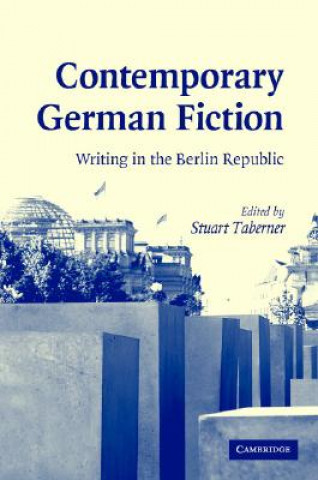 Buch Contemporary German Fiction Stuart Taberner