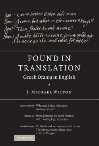 Knjiga Found in Translation J. Michael Walton