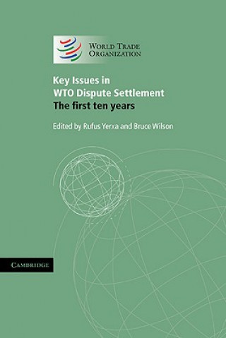 Buch Key Issues in WTO Dispute Settlement Rufus YerxaBruce Wilson