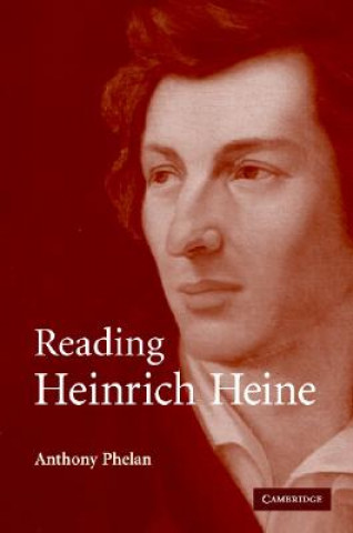 Kniha Reading Heinrich Heine Anthony Phelan