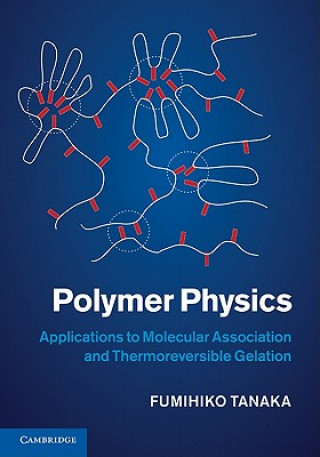 Knjiga Polymer Physics Fumihiko Tanaka