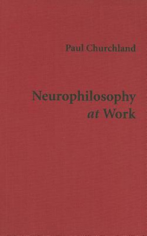 Kniha Neurophilosophy at Work Paul Churchland