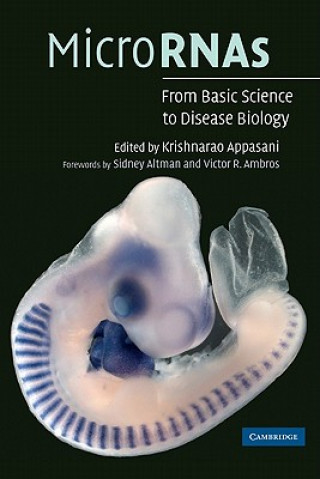 Kniha MicroRNAs Krishnarao AppasaniSidney  AltmanVictor R. Ambros
