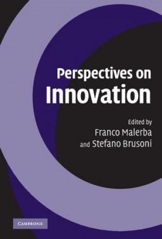 Книга Perspectives on Innovation Franco MalerbaStefano Brusoni