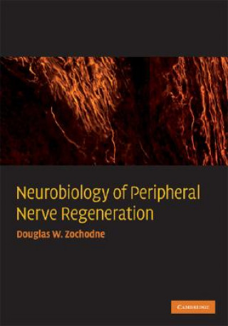 Kniha Neurobiology of Peripheral Nerve Regeneration Douglas W. Zochodne