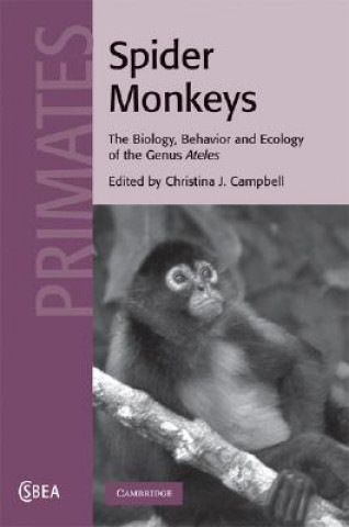 Kniha Spider Monkeys Christina J. Campbell