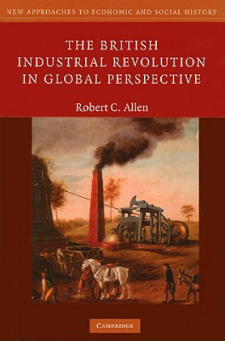 Könyv British Industrial Revolution in Global Perspective Robert C. Allen