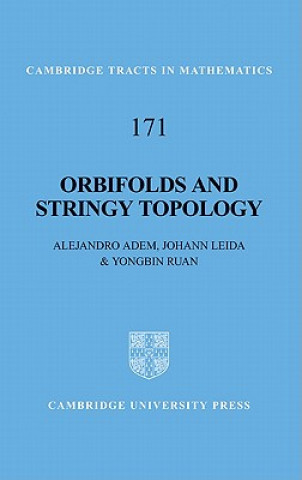 Kniha Orbifolds and Stringy Topology Alejandro AdemJohann LeidaYongbin Ruan