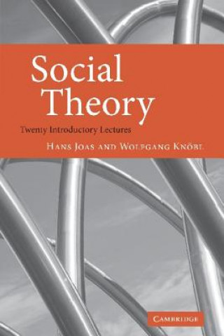 Carte Social Theory Hans JoasWolfgang KnöblAlex Skinner