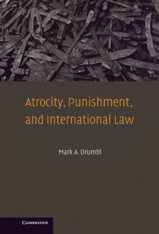 Kniha Atrocity, Punishment, and International Law Mark A.  Drumbl