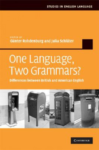 Książka One Language, Two Grammars? Günter RohdenburgJulia Schlüter