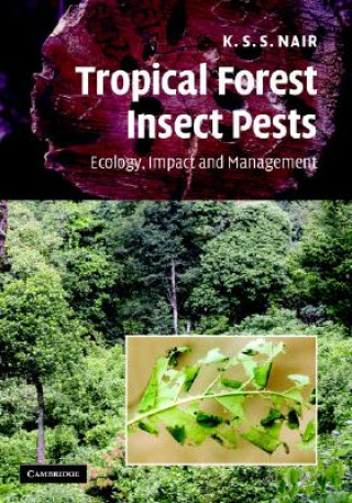 Kniha Tropical Forest Insect Pests K. S. S. Nair