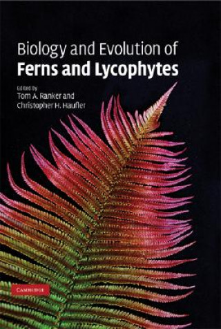 Książka Biology and Evolution of Ferns and Lycophytes Tom A. RankerChristopher H. Haufler