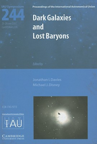 Book Dark Galaxies and Lost Baryons (IAU S244) Jonathan I. DaviesMichael J. Disney