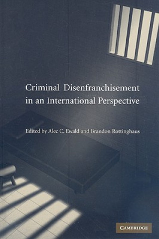 Книга Criminal Disenfranchisement in an International Perspective Alec C. EwaldBrandon Rottinghaus