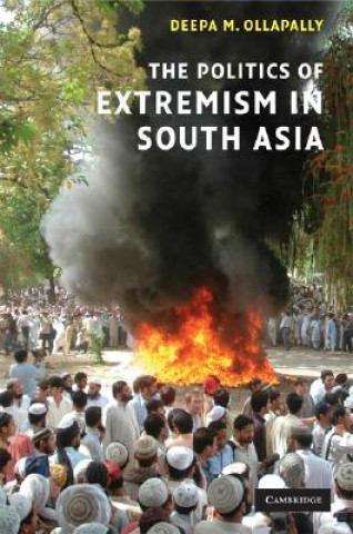 Kniha The Politics of Extremism in South Asia Deepa M. Ollapally