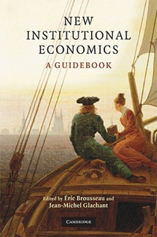 Kniha New Institutional Economics Éric BrousseauJean-Michel  Glachant