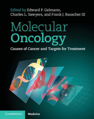 Könyv Molecular Oncology Edward P. GelmannCharles L. SawyersFrank J. Rauscher III
