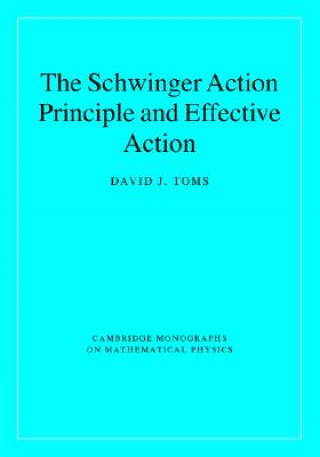 Carte Schwinger Action Principle and Effective Action David J. Toms