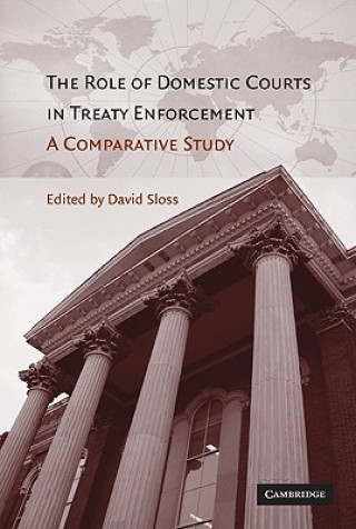 Könyv Role of Domestic Courts in Treaty Enforcement David  Sloss