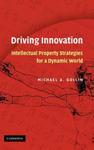 Kniha Driving Innovation Michael A. Gollin