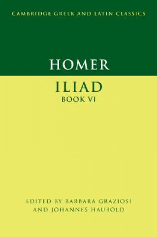 Carte Homer: Iliad Book VI Barbara GraziosiJohannes Haubold