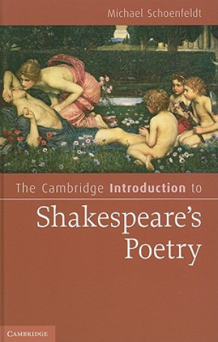 Kniha Cambridge Introduction to Shakespeare's Poetry Michael Schoenfeldt