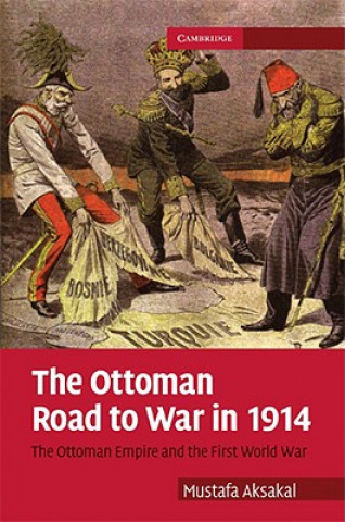 Book Ottoman Road to War in 1914 Mustafa Aksakal