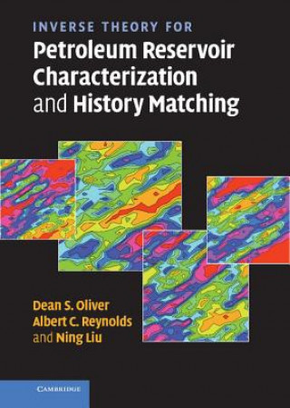 Buch Inverse Theory for Petroleum Reservoir Characterization and History Matching Dean S. OliverAlbert C. ReynoldsNing Liu