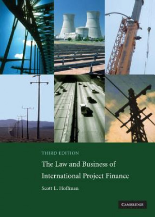 Книга Law and Business of International Project Finance Scott L. Hoffman