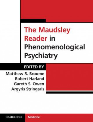 Livre Maudsley Reader in Phenomenological Psychiatry Matthew BroomeRobert HarlandGareth S. OwenArgyris Stringaris