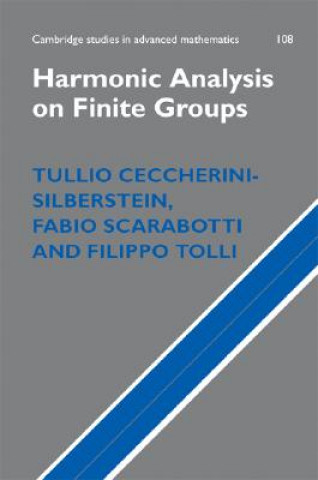 Kniha Harmonic Analysis on Finite Groups Tullio Ceccherini-SilbersteinFabio ScarabottiFilippo Tolli