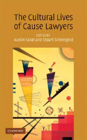 Kniha Cultural Lives of Cause Lawyers Austin SaratStuart Scheingold